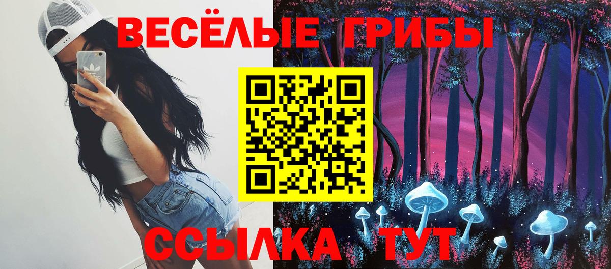 Чернушка  Псилоцибиновые грибы Magic Shrooms  Вход с VPN 